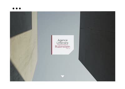 Agence Littéraire Rubinstein