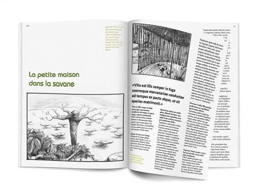 Illustration article