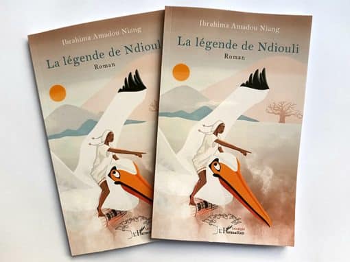 Roman Illustré