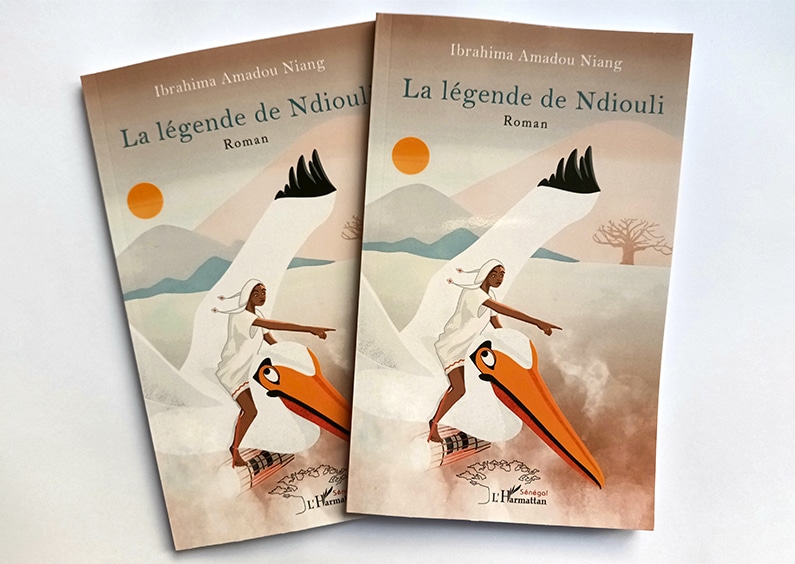 Roman Illustré