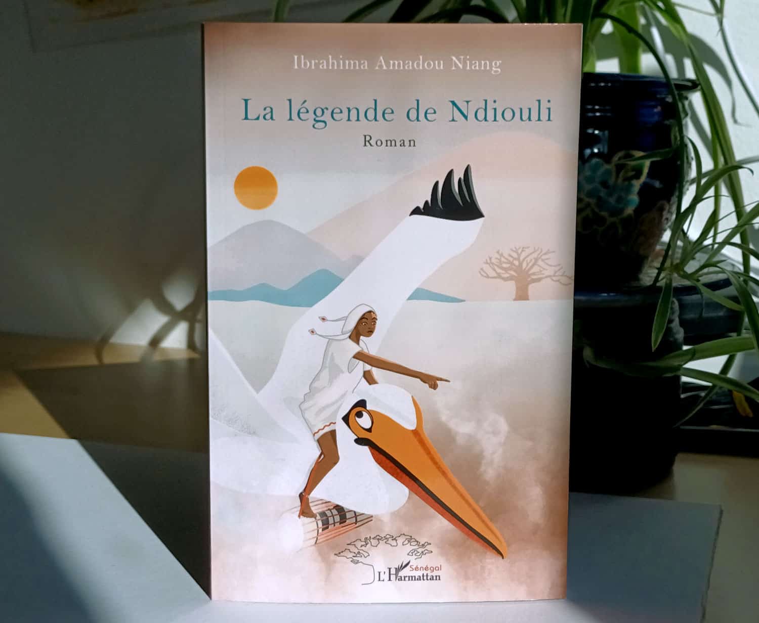 legende-ndiouli-cover illustration un enfant à cheval sur un pélican
